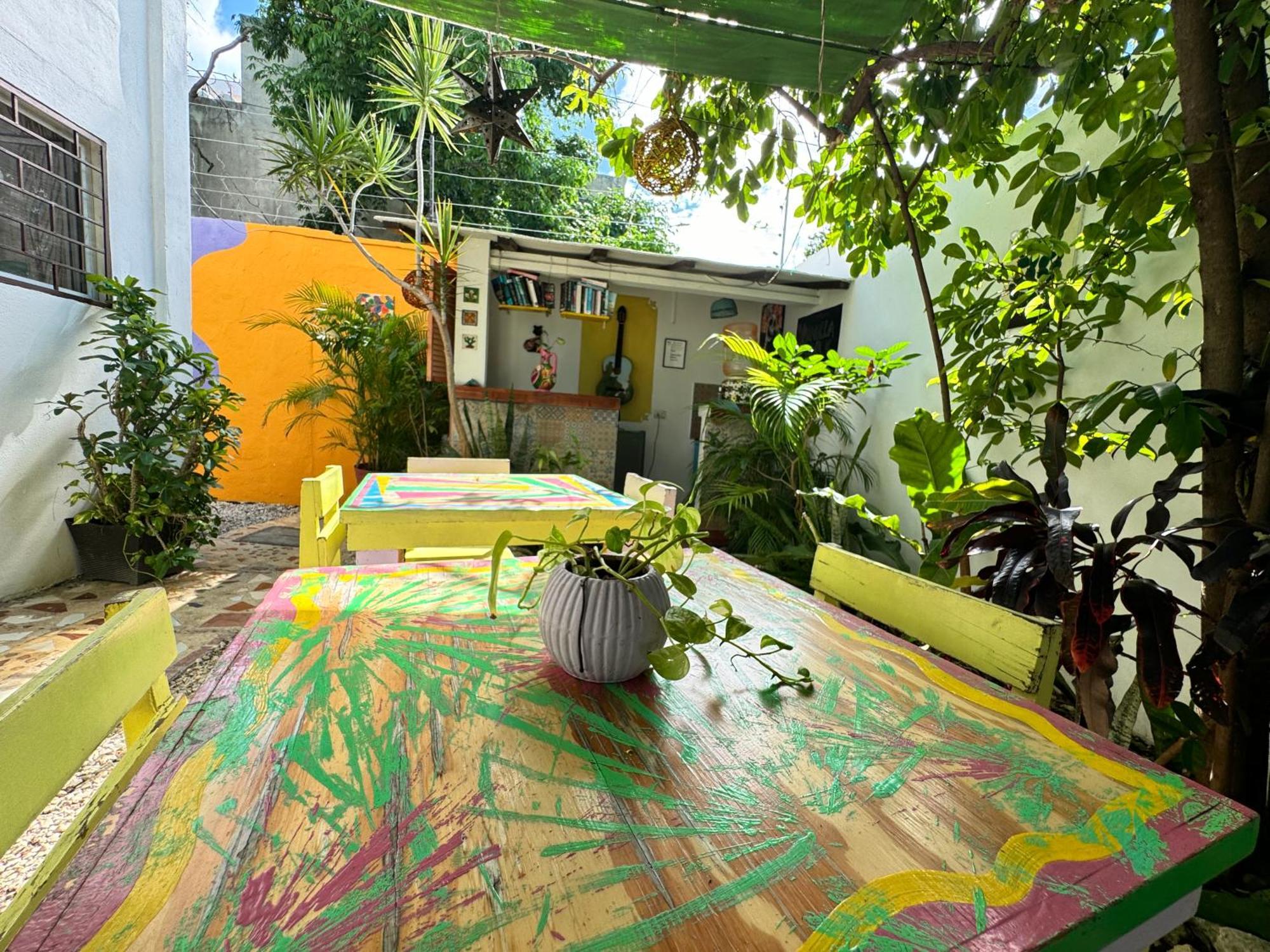"Vainilla B&B" - Stylish Comfort In Πλάγια Ντελ Κάρμεν Εξωτερικό φωτογραφία