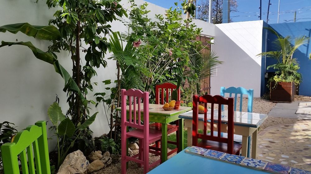 "Vainilla B&B" - Stylish Comfort In Πλάγια Ντελ Κάρμεν Εξωτερικό φωτογραφία