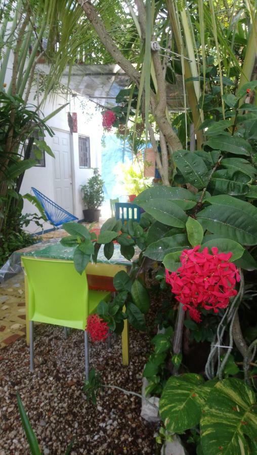 "Vainilla B&B" - Stylish Comfort In Πλάγια Ντελ Κάρμεν Εξωτερικό φωτογραφία