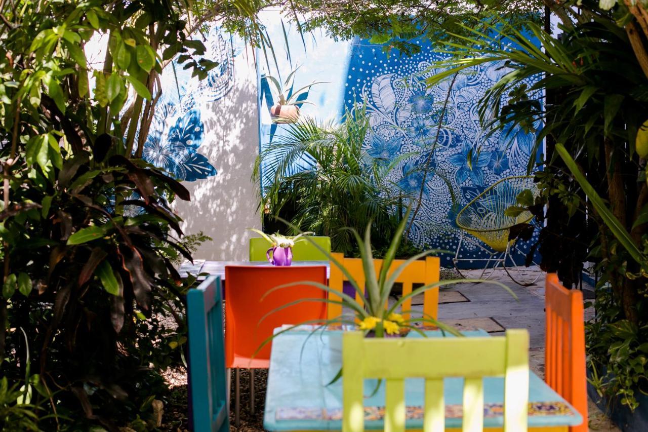 "Vainilla B&B" - Stylish Comfort In Πλάγια Ντελ Κάρμεν Εξωτερικό φωτογραφία